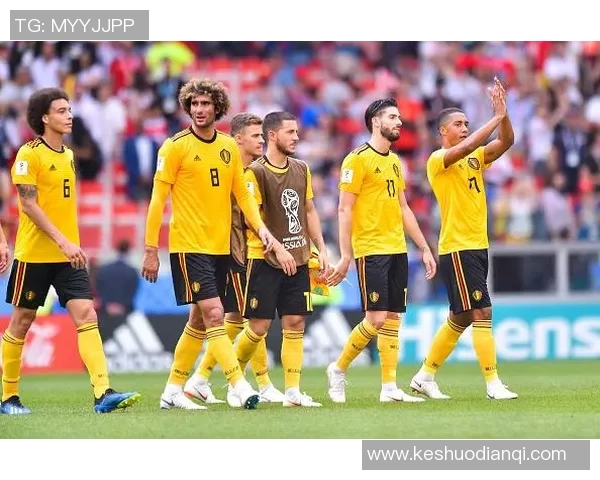 比利时与突尼斯比赛中罚牌数的精彩对比分析与解读